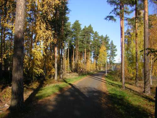 17/10/2007 Falun (Boisenburg/Hästberg/Lugnetområdet)