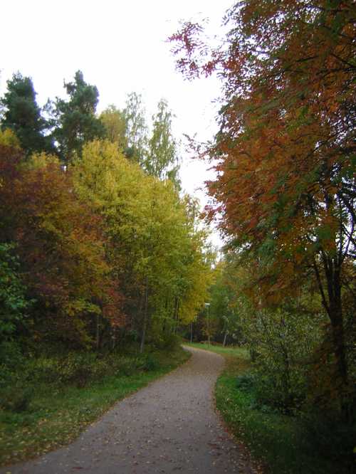 Område Hästberg/Bojsenburg i Falun, den 2/10/2007