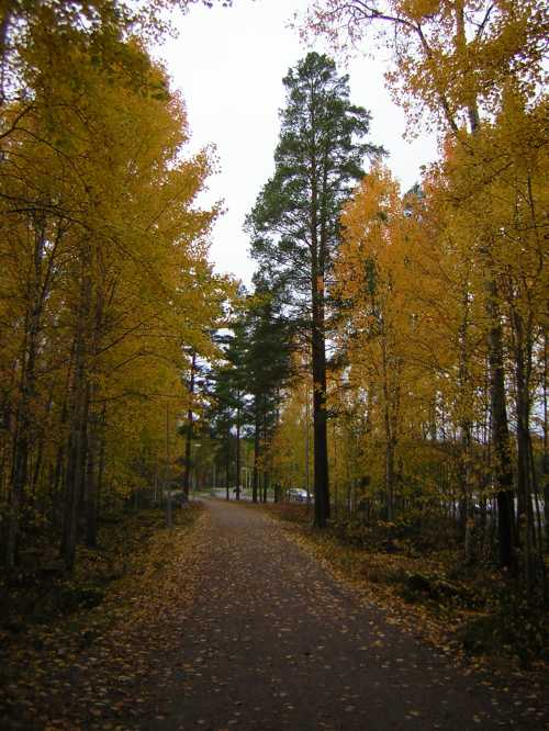 Område Hästberg/Bojsenburg i Falun, den 2/10/2007