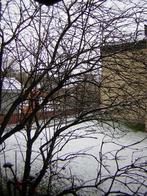 2007_nov23_britsen.jpg