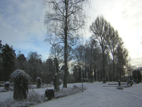 8/11/2007 - på väg till högskolan (Falun), 3