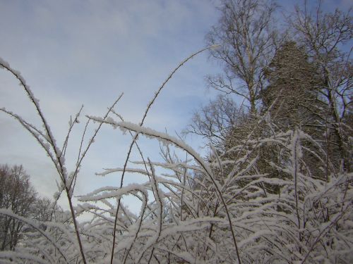 8/11/2007 - på väg till högskolan (Falun), 5