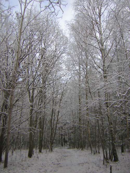 8/11/2007 - på väg till högskolan (Falun), 6