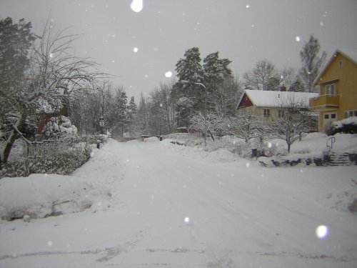 01/12/2007 på väg till Högskolan (Britsen-Hästberg-Lugnetområdet), bild tre