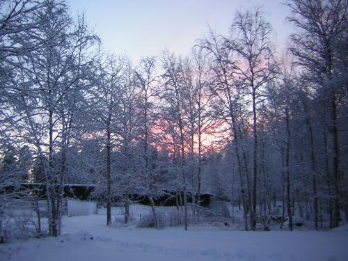 2008/01/30 Falun (Högskolan/Hästberg)