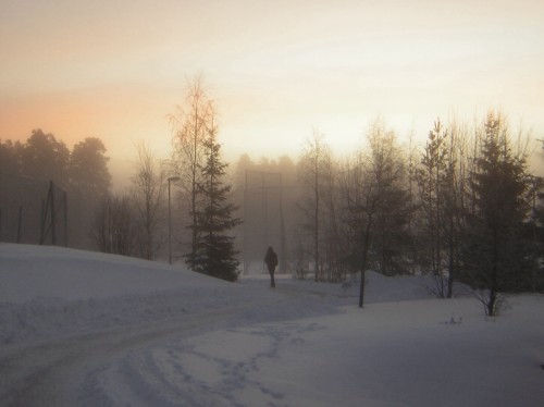 2007/01/25 Högskolan Dalarna