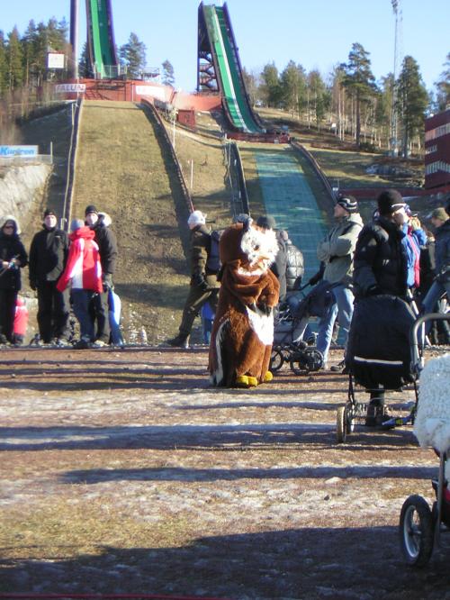 2008_02_23_svenska_skidspelen