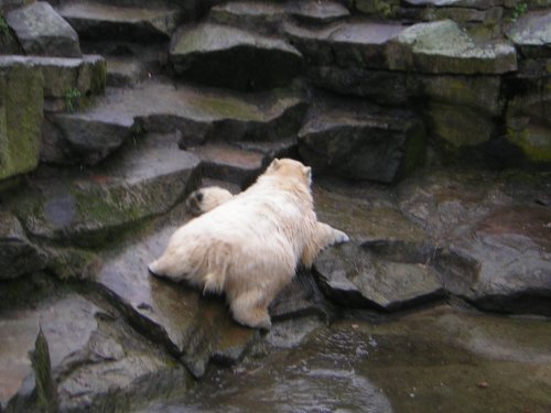 2008_03_01 Berlin Zoo